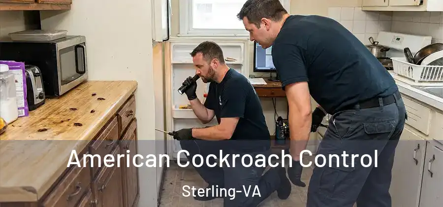 American Cockroach Control Sterling-VA
