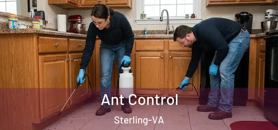 Ant Control Sterling-VA