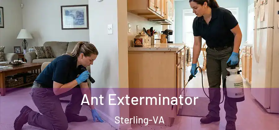 Ant Exterminator Sterling-VA