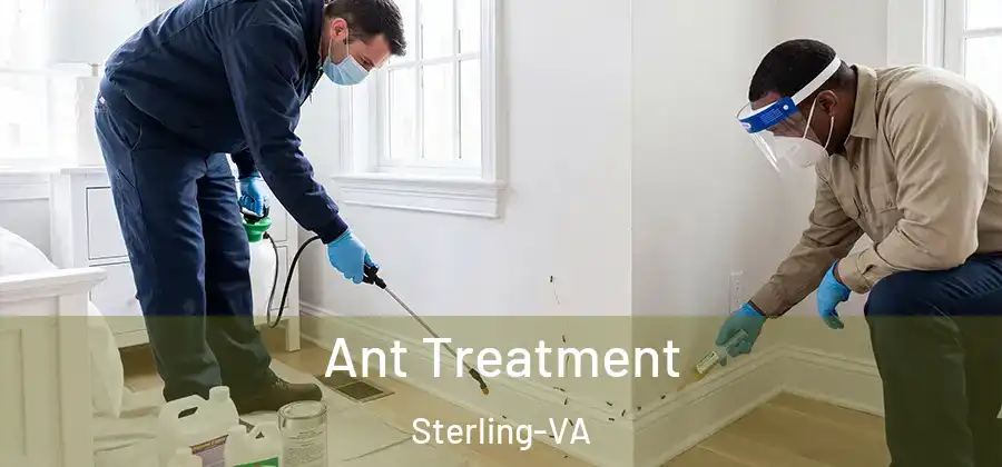 Ant Treatment Sterling-VA