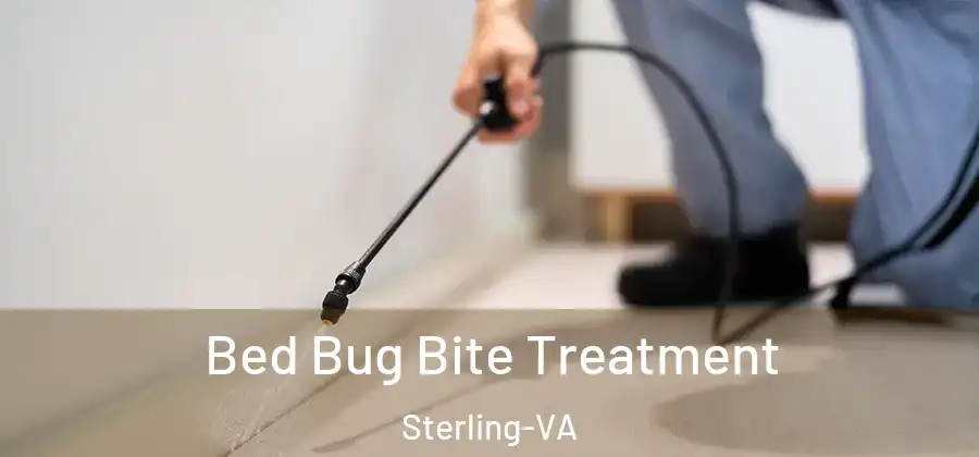 Bed Bug Bite Treatment Sterling-VA