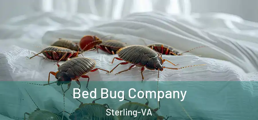  Bed Bug Company Sterling-VA