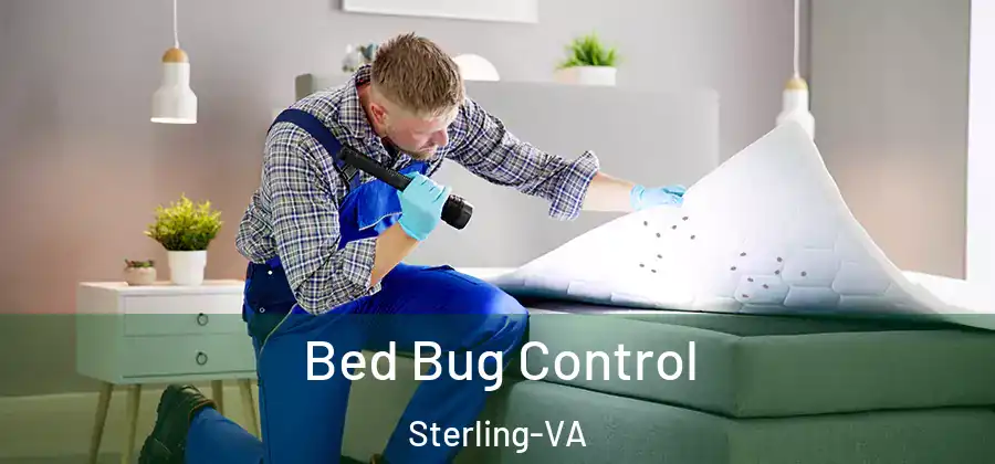 Bed Bug Control Sterling-VA