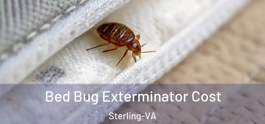 Bed Bug Exterminator Cost Sterling-VA