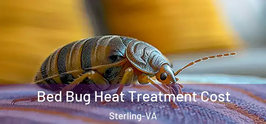 Bed Bug Heat Treatment Cost Sterling-VA