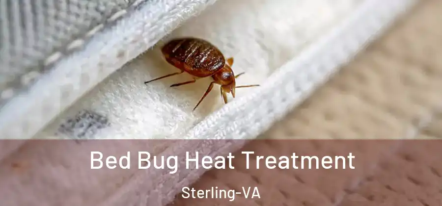 Bed Bug Heat Treatment Sterling-VA