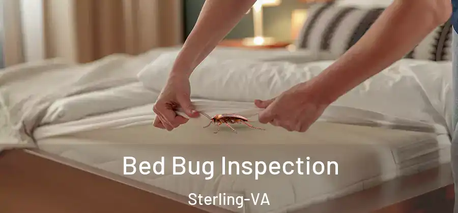  Bed Bug Inspection Sterling-VA