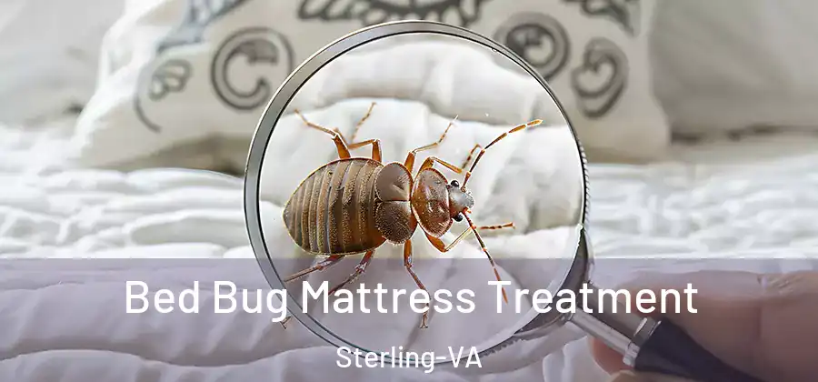 Bed Bug Mattress Treatment Sterling-VA