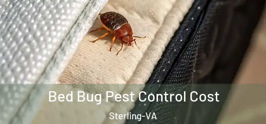  Bed Bug Pest Control Cost Sterling-VA