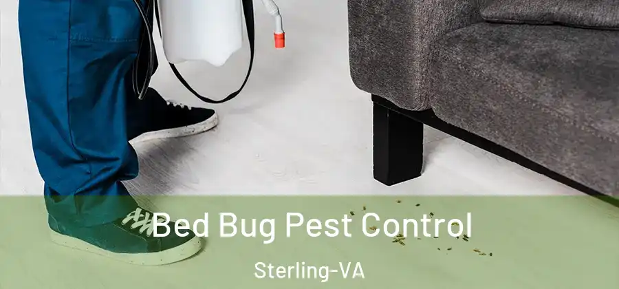 Bed Bug Pest Control Sterling-VA