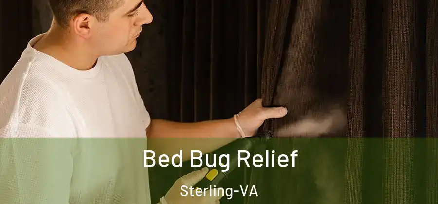 Bed Bug Relief Sterling-VA