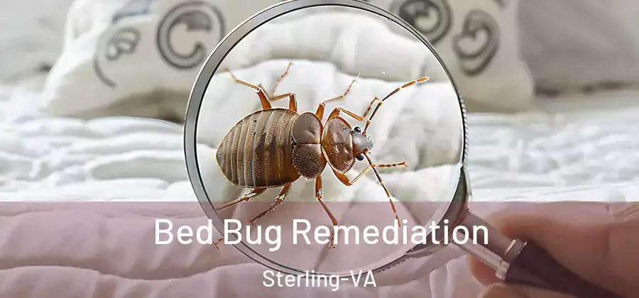 Bed Bug Remediation Sterling-VA