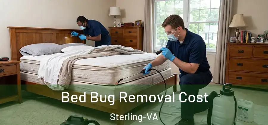  Bed Bug Removal Cost Sterling-VA