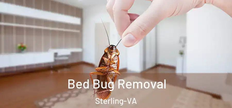 Bed Bug Removal Sterling-VA