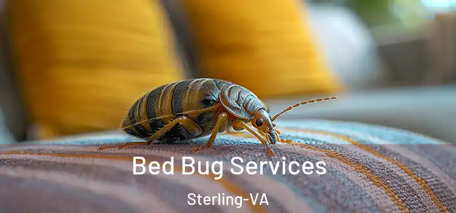 Bed Bug Services Sterling-VA