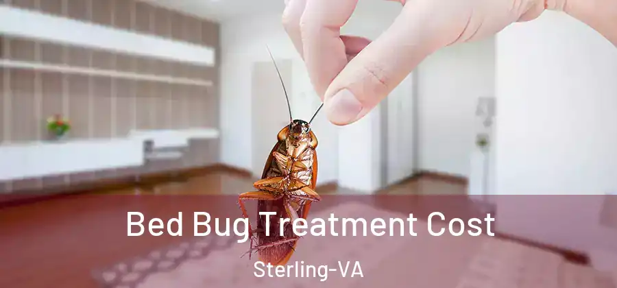 Bed Bug Treatment Cost Sterling-VA