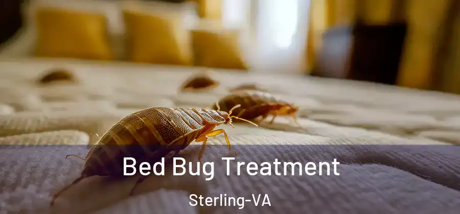 Bed Bug Treatment Sterling-VA
