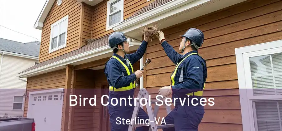 Bird Control Services Sterling-VA