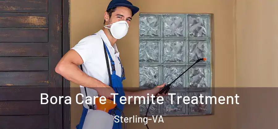  Bora Care Termite Treatment Sterling-VA