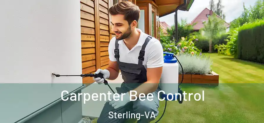  Carpenter Bee Control Sterling-VA