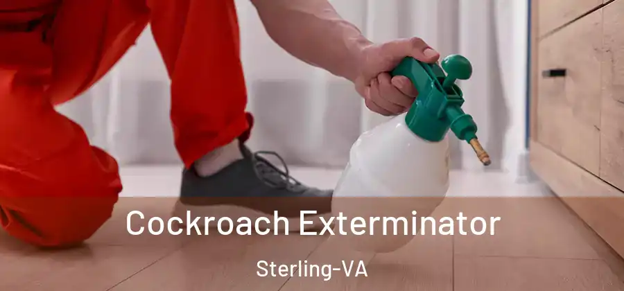 Cockroach Exterminator Sterling-VA