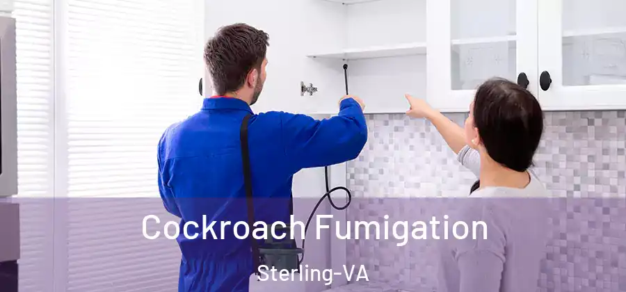  Cockroach Fumigation Sterling-VA