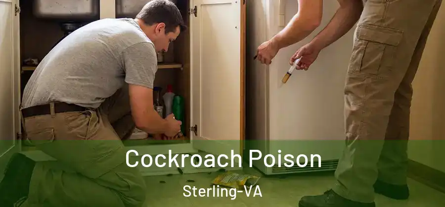 Cockroach Poison Sterling-VA