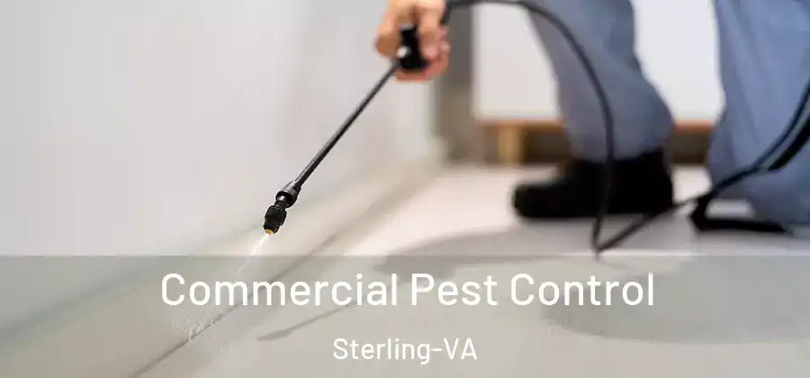 Commercial Pest Control Sterling-VA