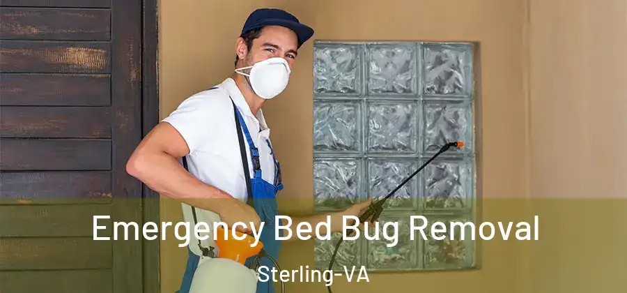 Emergency Bed Bug Removal Sterling-VA