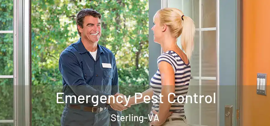 Emergency Pest Control Sterling-VA