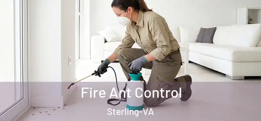 Fire Ant Control Sterling-VA