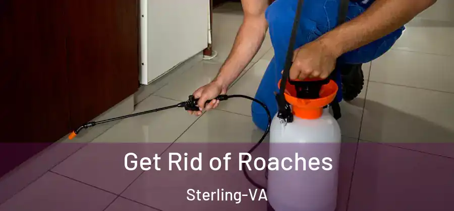 Get Rid of Roaches Sterling-VA