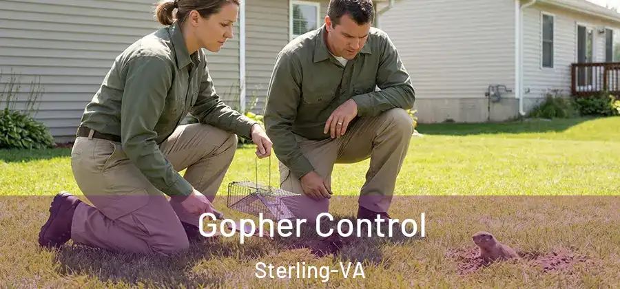 Gopher Control Sterling-VA