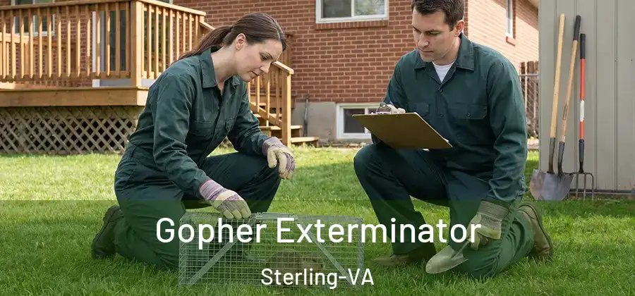 Gopher Exterminator Sterling-VA