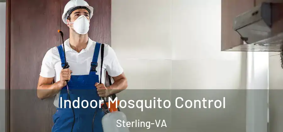  Indoor Mosquito Control Sterling-VA