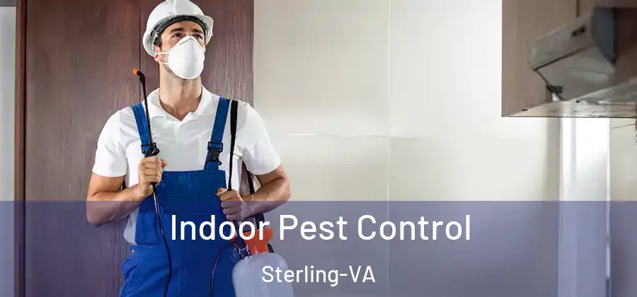 Indoor Pest Control Sterling-VA