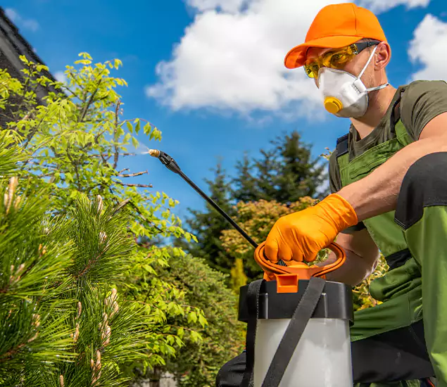 Your Mosquito Repellent Barrier Service in Sterling, VA