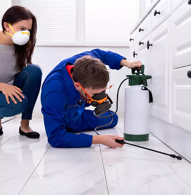 Why Sterling, VA Homeowners Trust Sterling Pest Control Pro for Roach Control?