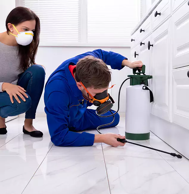 Why Choose Sterling Pest Control Pro for Termite Inspection Cost in Sterling, VA?