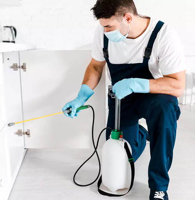Why Choose Sterling Pest Control Pro for Termite Spot Treatment in Sterling, VA?