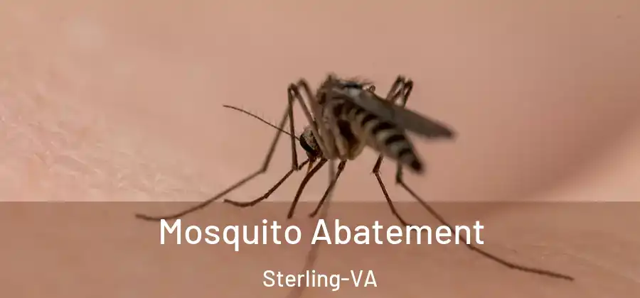 Mosquito Abatement Sterling-VA