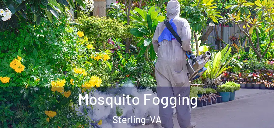 Mosquito Fogging Sterling-VA