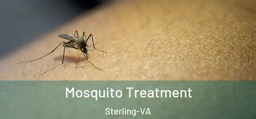  Mosquito Treatment Sterling-VA
