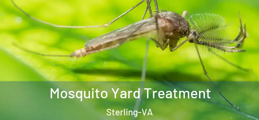  Mosquito Yard Treatment Sterling-VA