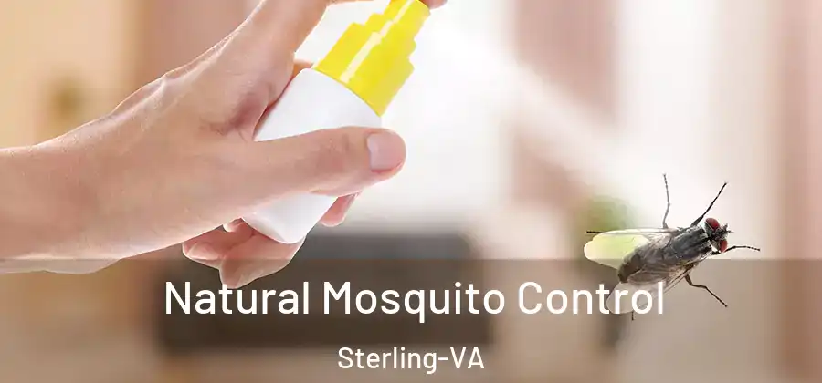 Natural Mosquito Control Sterling-VA