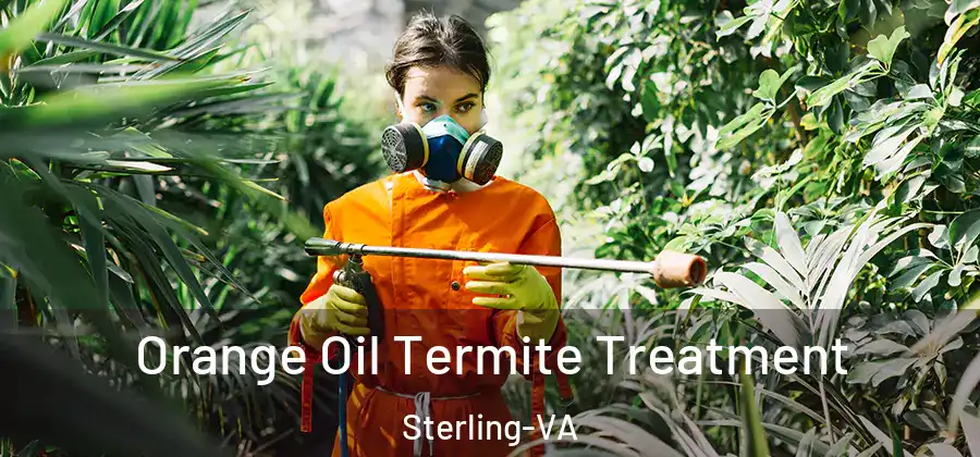 Orange Oil Termite Treatment Sterling-VA