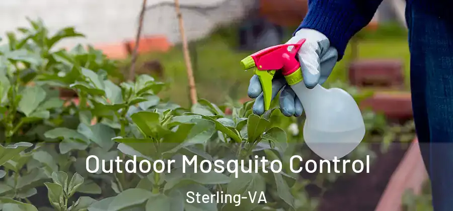 Outdoor Mosquito Control Sterling-VA