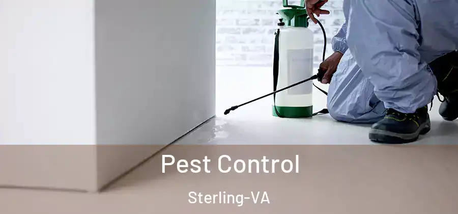 Pest Control Sterling-VA