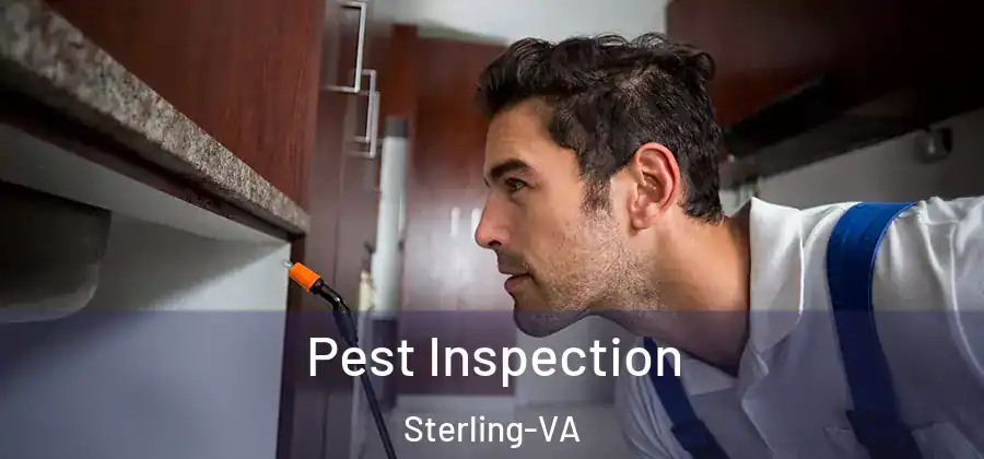 Pest Inspection Sterling-VA