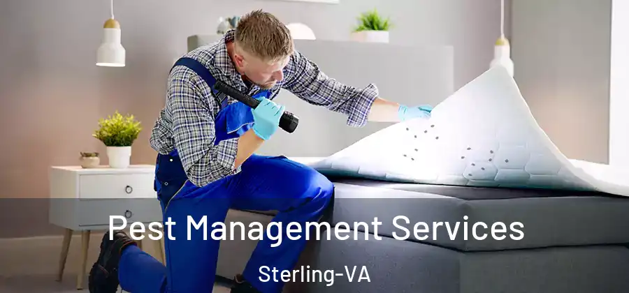 Pest Management Services Sterling-VA